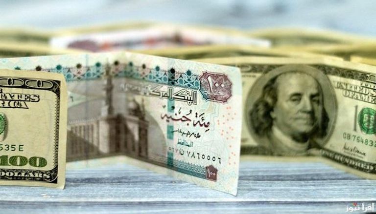سعر الدولار مقابل الجنيه المصري يشهد استقرارا مؤقتا في السوق اليوم السبت 11 أكتوبر 2025